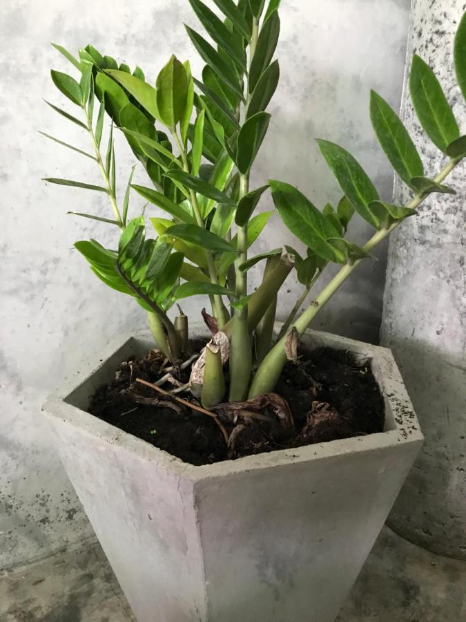 Tinna Resort Ban Nong Mai Ngam 外观 照片