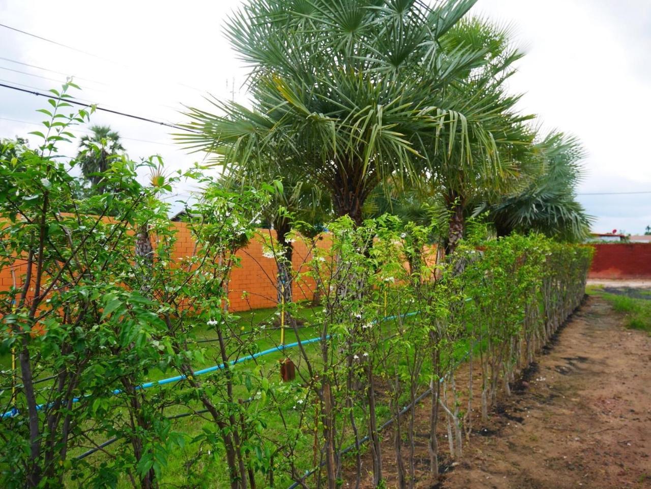Tinna Resort Ban Nong Mai Ngam 外观 照片