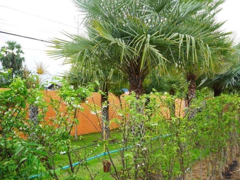 Tinna Resort Ban Nong Mai Ngam 外观 照片